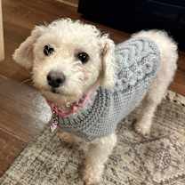 Thumbnail photo of Stella #2