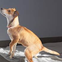 Thumbnail photo of Kenzie #1