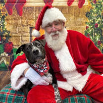 Thumbnail photo of Saki #1