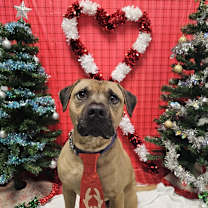 Thumbnail photo of Whiskey #1