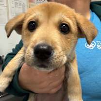 Thumbnail photo of Jolly #1