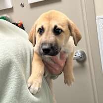 Thumbnail photo of Snowman #1