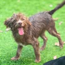 Thumbnail photo of Audrey #2