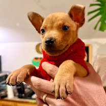 Thumbnail photo of SPORK #2