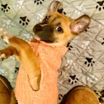 Thumbnail photo of SPECK #2