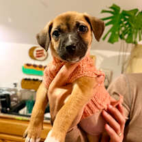 Thumbnail photo of SPECK #3