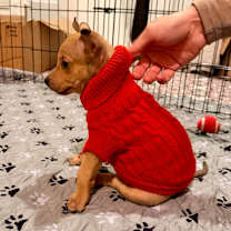 Thumbnail photo of SPORK #4