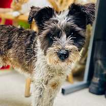 Thumbnail photo of Bounce #2