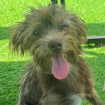 Thumbnail photo of Audrey #4