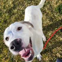 Thumbnail photo of Floop 45597 #4