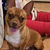 Thumbnail photo of HERCULES #1