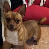 Thumbnail photo of HERCULES #3