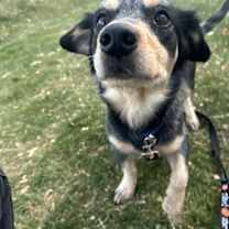 Thumbnail photo of Moe #2