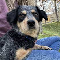 Thumbnail photo of Moe #3