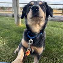 Thumbnail photo of Moe #4