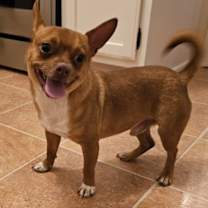 Thumbnail photo of HERCULES #2