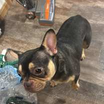 Thumbnail photo of Charm #2