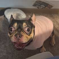 Thumbnail photo of Charm #3