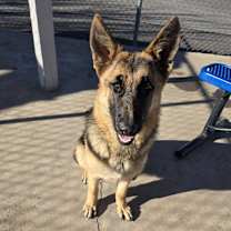 Thumbnail photo of Lily #1