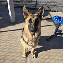 Thumbnail photo of Lily #2