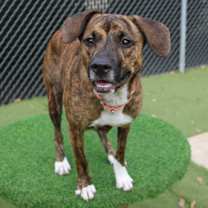 Thumbnail photo of Boots #3