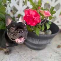 Thumbnail photo of Madeline #3