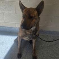 Thumbnail photo of Yeti #3