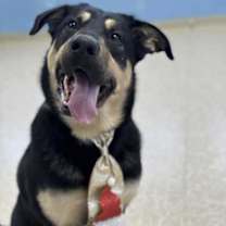 Thumbnail photo of Oscar #1