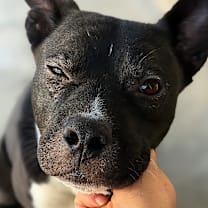 Thumbnail photo of Stitch #2