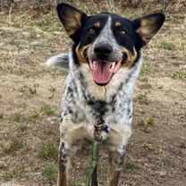 Thumbnail photo of Squishy #1