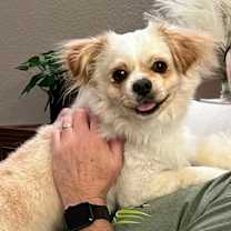 Thumbnail photo of Beethoven #1