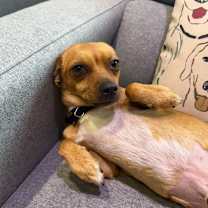 Thumbnail photo of Mason #4