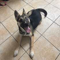 Thumbnail photo of Snow Globe #1