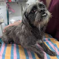 Thumbnail photo of SOCRATES #2