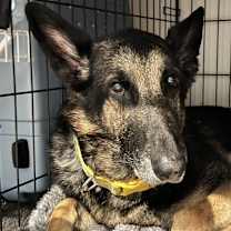 Thumbnail photo of Barrett #1