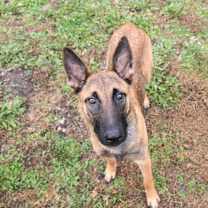 Thumbnail photo of Courage #1