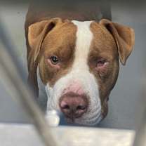 Thumbnail photo of Roy #1