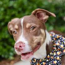 Thumbnail photo of Jerry #4