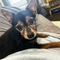 Thumbnail photo of Peanut #2