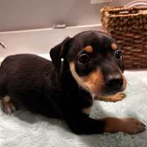 Thumbnail photo of Kayce #2