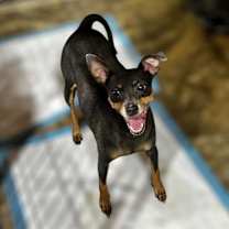 Thumbnail photo of Trudy #1