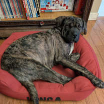 Thumbnail photo of Beauty #2