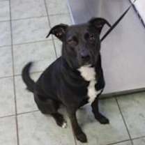 Thumbnail photo of Sonja #2