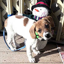 Thumbnail photo of Starr #2