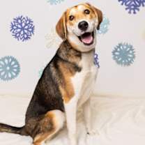 Thumbnail photo of Monday #2