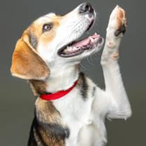 Thumbnail photo of Monday #3