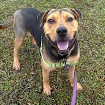 Thumbnail photo of Bear #1