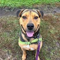 Thumbnail photo of Bear #2