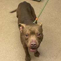 Thumbnail photo of Goof #1