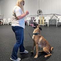 Thumbnail photo of Nina-WI #1